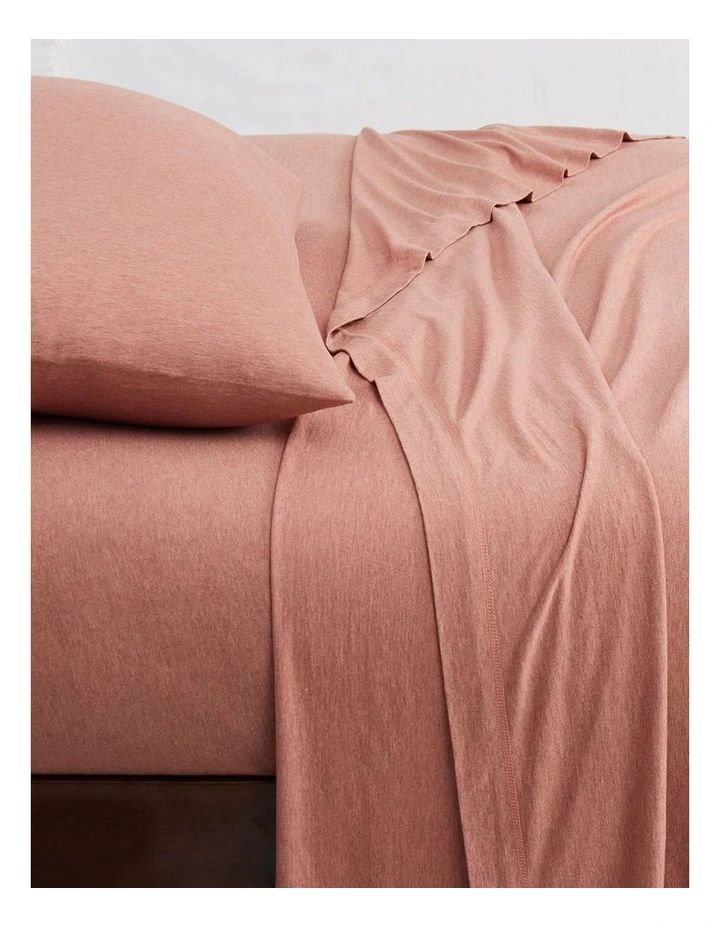Calvin Klein Modern Cotton Harrison Sheeting In Terracotta - Image 5
